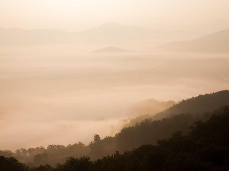 Héctor Salcedo Cali